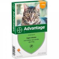 Advantage Gato